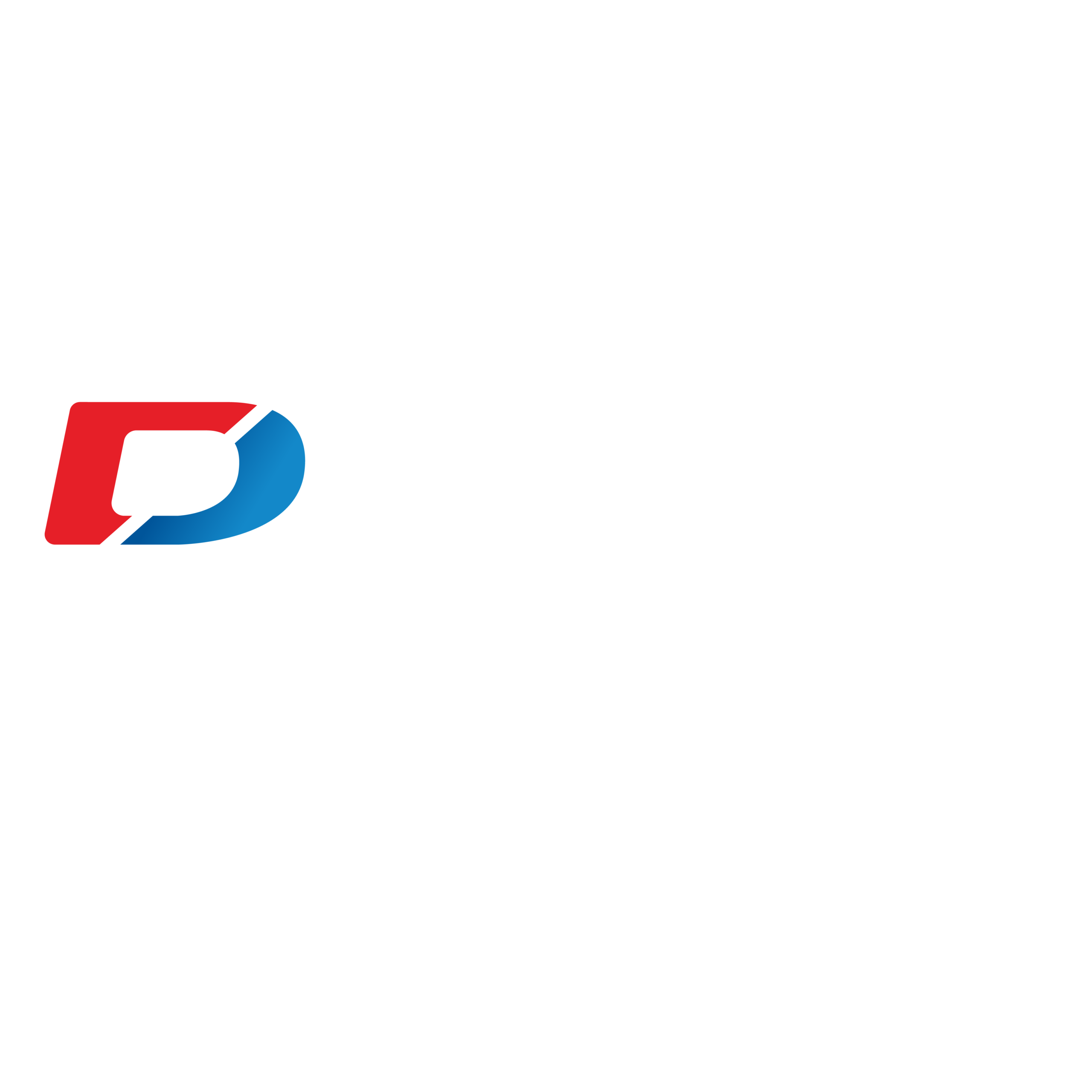 diparvel distribucion logo positivo scaled
