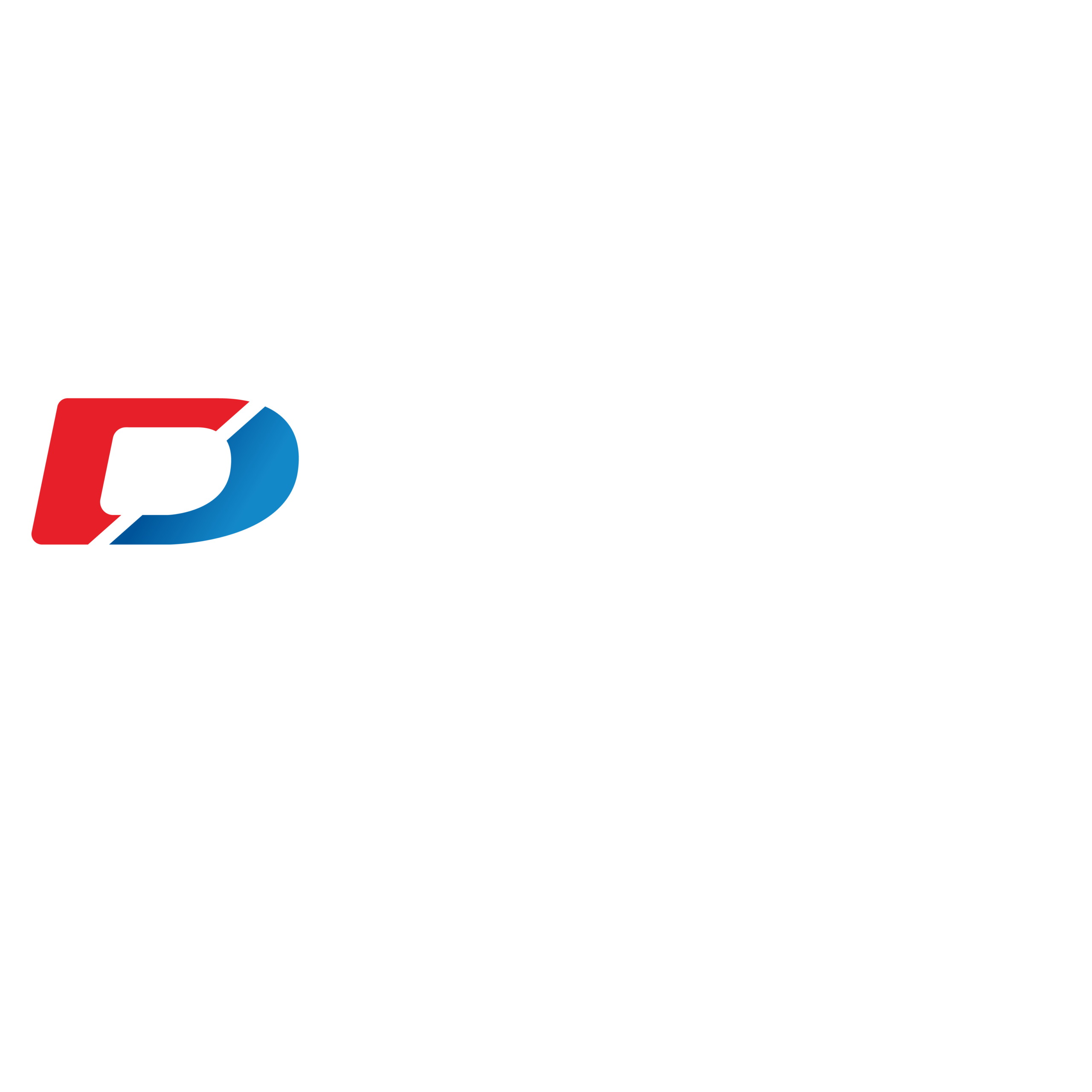 diparvel flotas logo positivo scaled