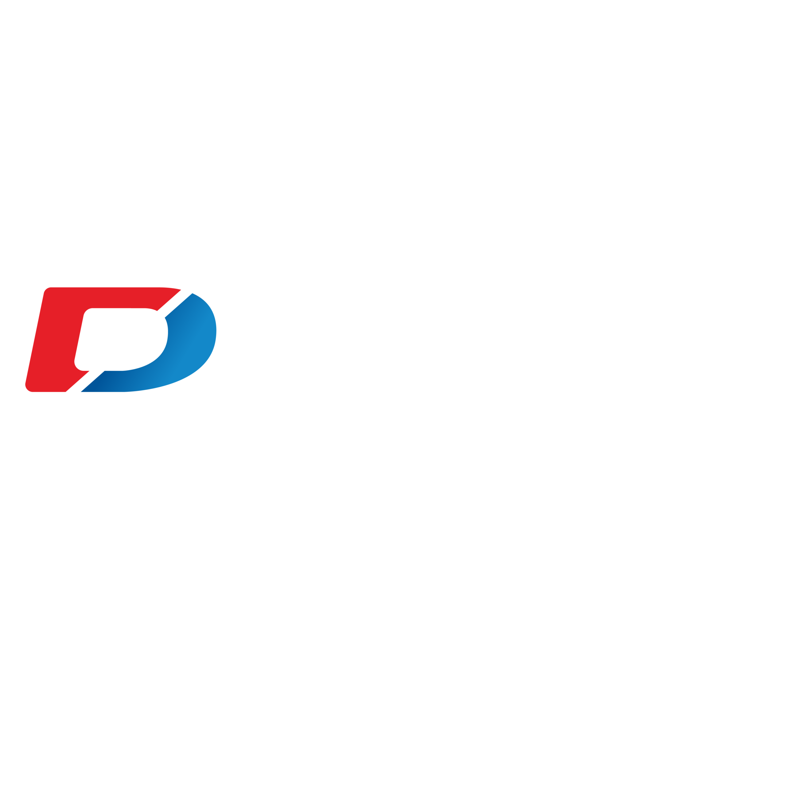 diparvel reencauche logo positivo scaled
